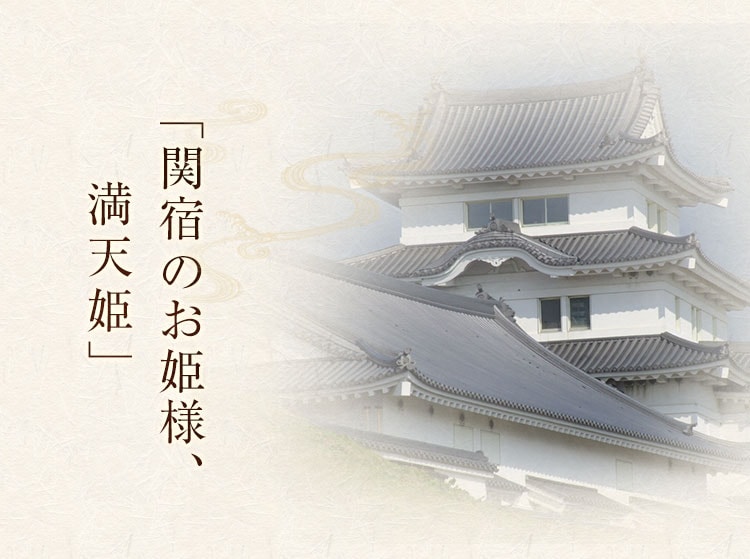 関宿のお姫様、満天姫