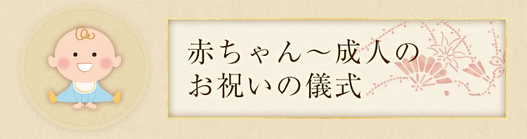 赤ちゃん～成人